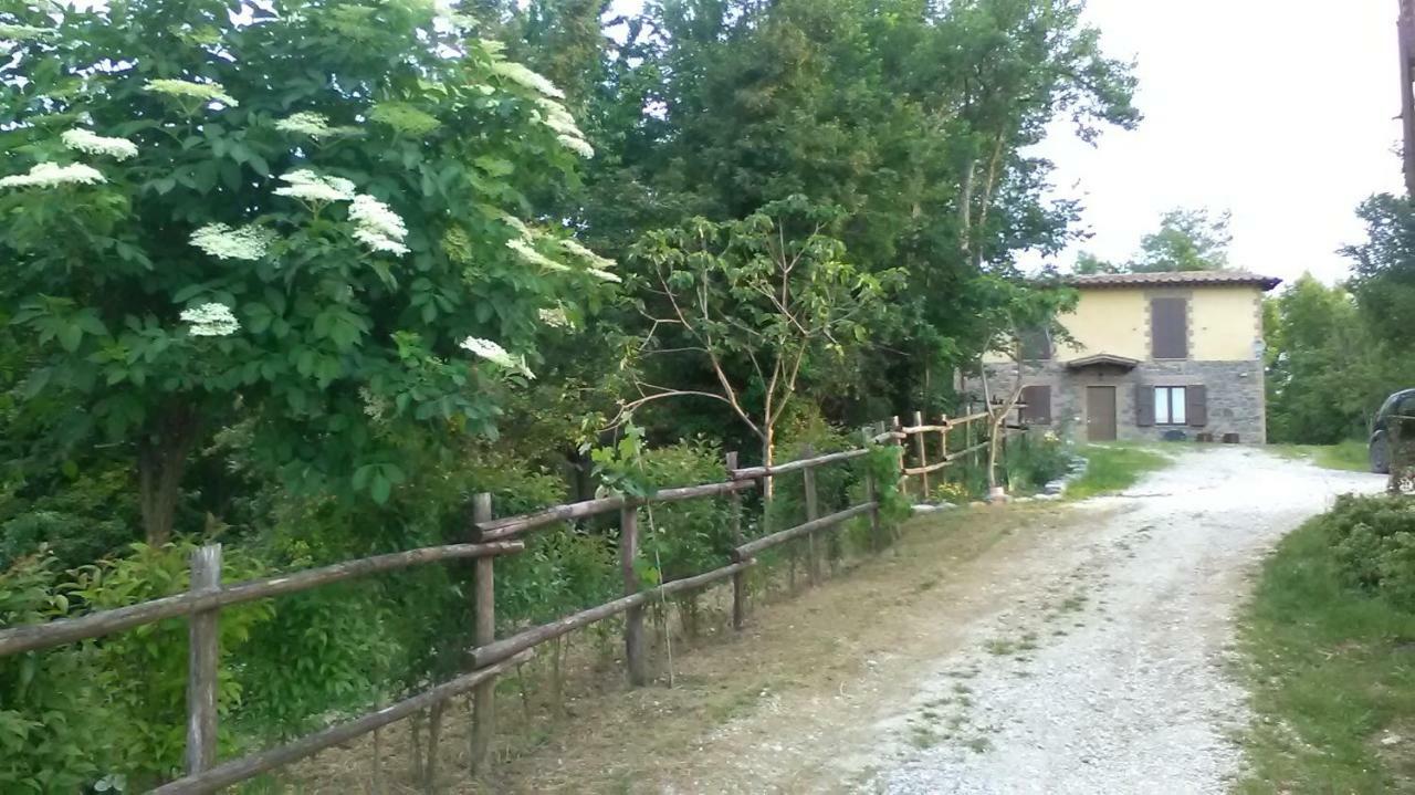 Il Gelso Rosso Apartment Comunanza Exterior photo